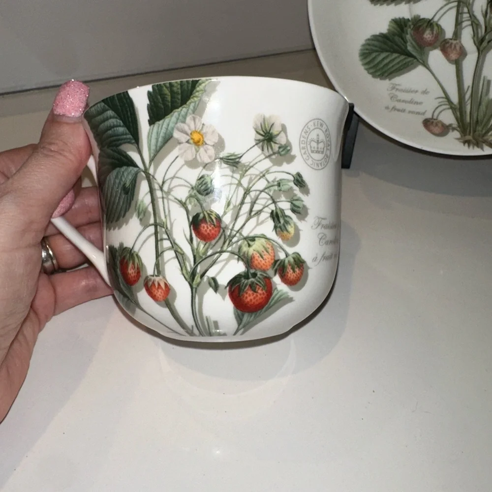 Royal Botanic Gardens Kew Wild Strawberry Fayre Fine China  Tea Cup Mug & Saucer